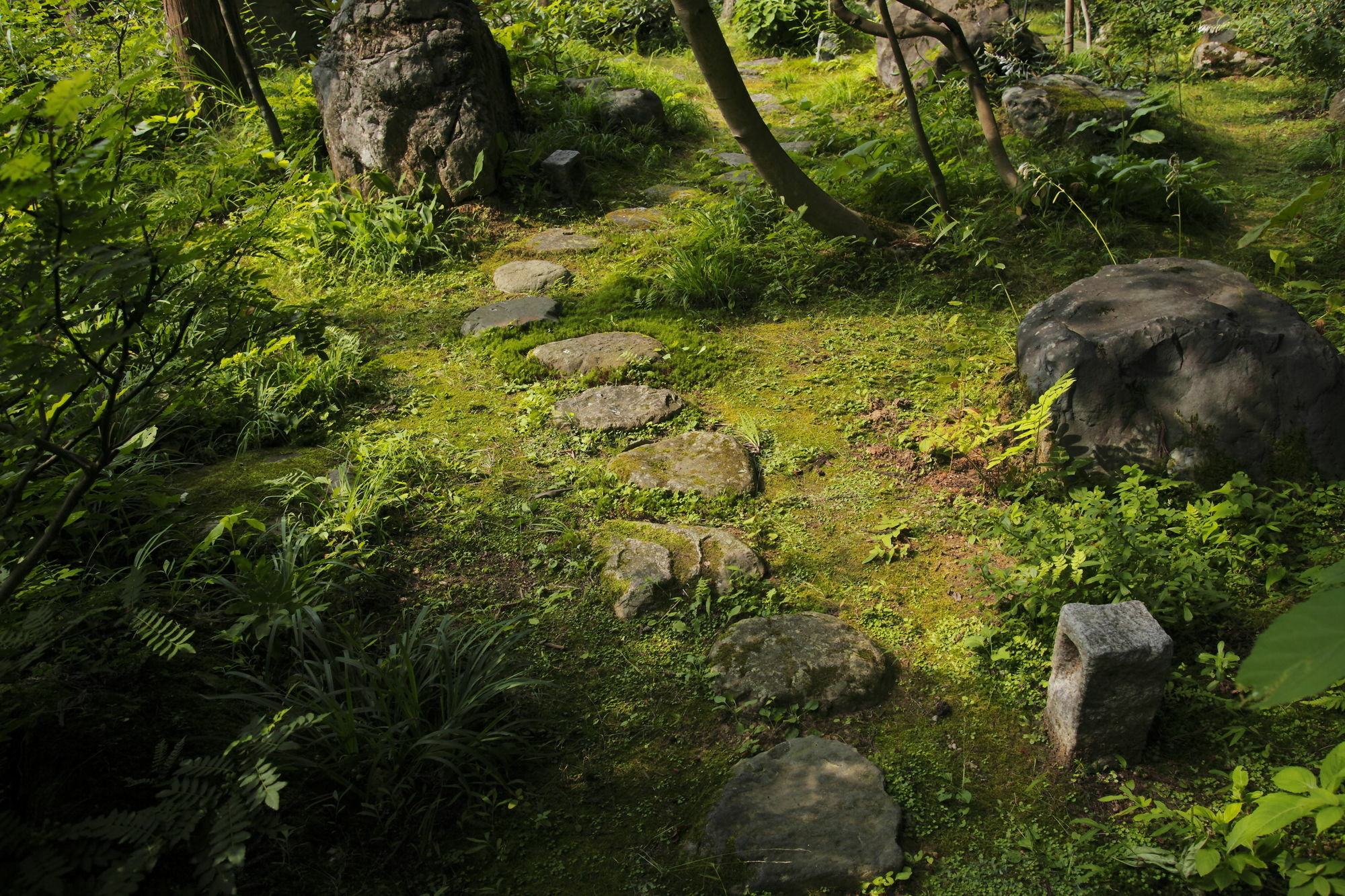 Ichirino Kogen Hotel Roan Hakusan Eksteriør bilde