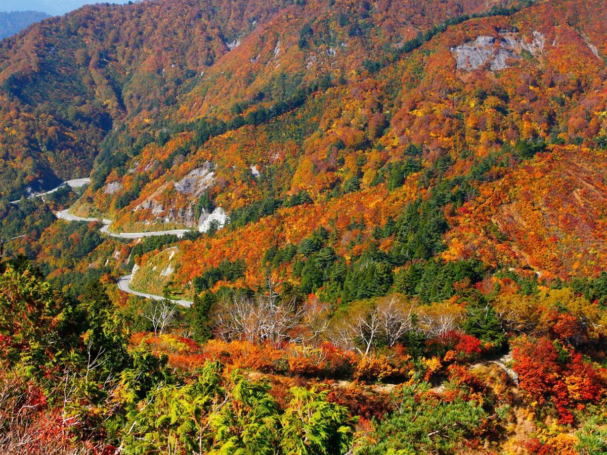 Ichirino Kogen Hotel Roan Hakusan Eksteriør bilde